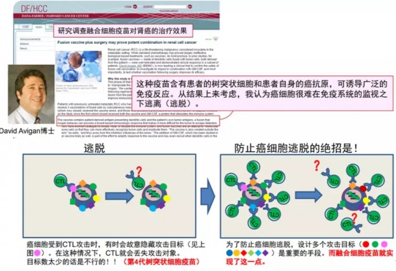 美国融合细胞疗法