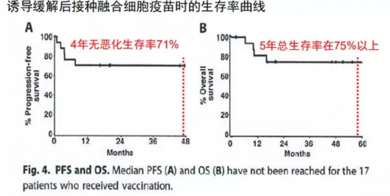 融合细胞疫苗与抗PD1抗体的联合使用生存率曲线图