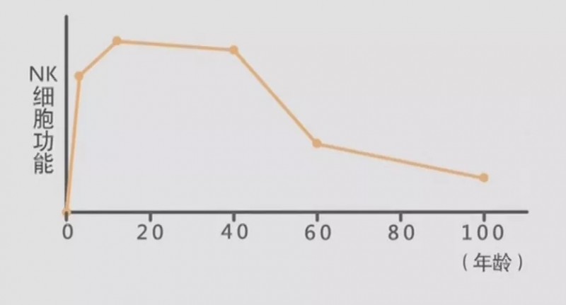 NK细胞功能变化