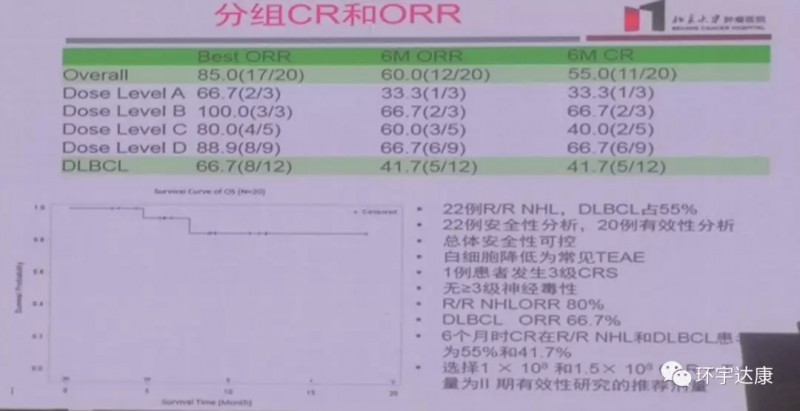 朱军教授也报道了CAR-T治疗非霍奇金淋巴瘤的数据