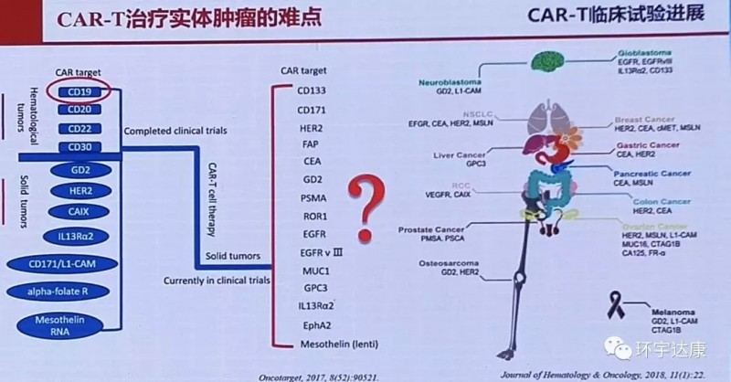 cart治疗实体瘤的难点