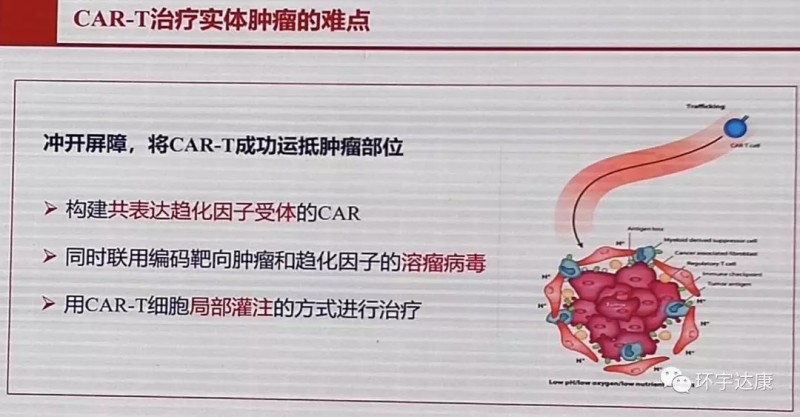 cart治疗实体肿瘤的难点