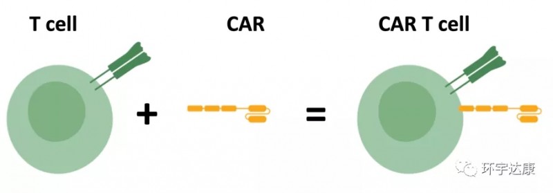 cart疗法