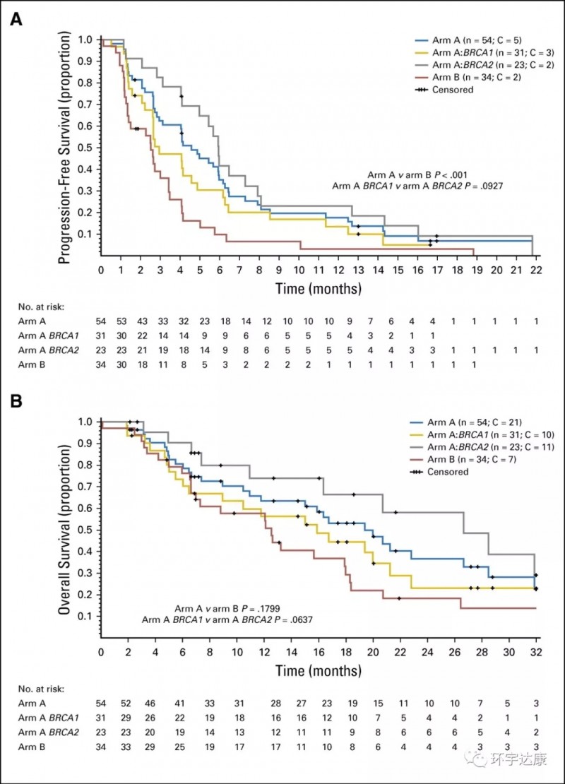 BRCA乳腺癌：无进展生存率61%