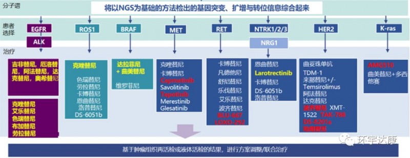 肺癌未来新靶向药