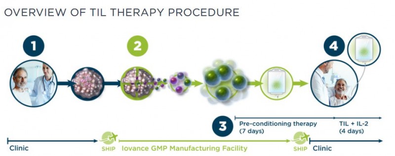 TILs疗法的治疗流程