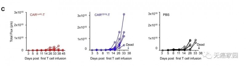 CAR LunX T治疗数据