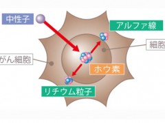 硼中子俘获治疗,日本硼中子俘获疗法将于今年正式接受患者