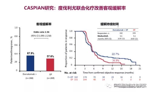 度伐利尤单抗治疗效果