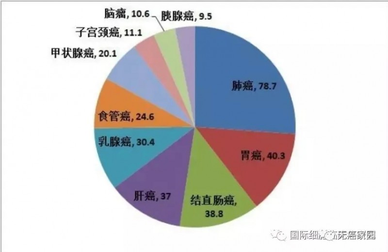 前十位癌症发病人数（万）