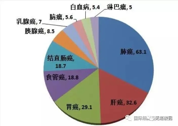 前十位癌症死亡人数（万）