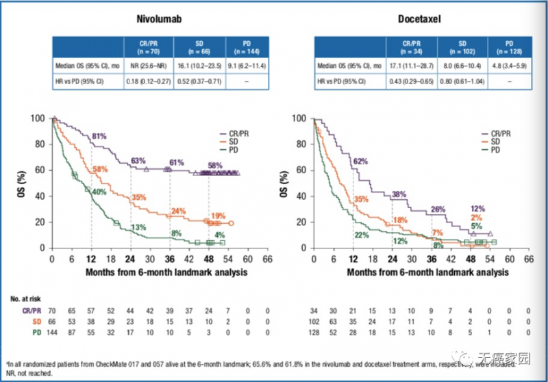 纳武单抗和多西他赛治疗数据对比