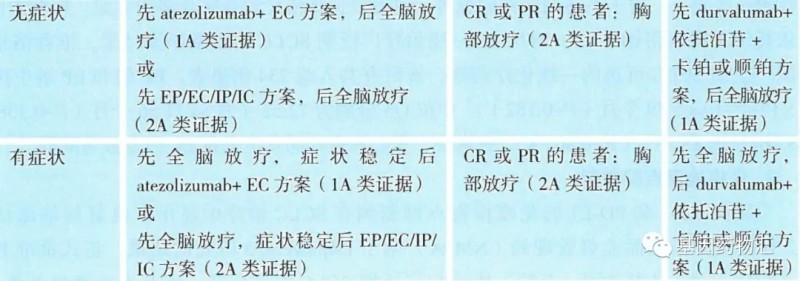 广泛期小细胞肺癌的治疗