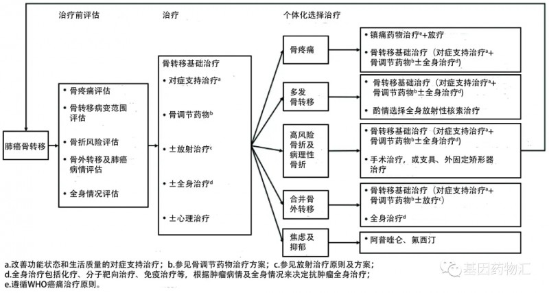 骨转移综合治理