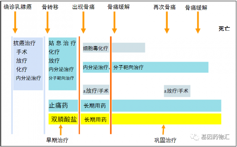 乳腺癌骨转移骨改良药物