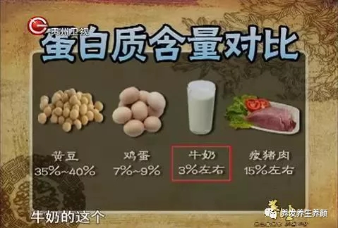 常见食物蛋白质含量对比