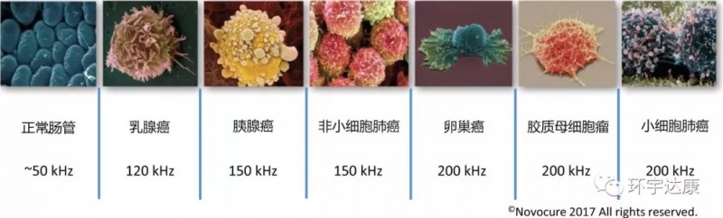 不同的细胞类型对应不同频率的交变电场