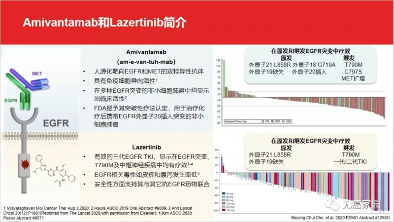 Amivantamab和Lazertinib简介