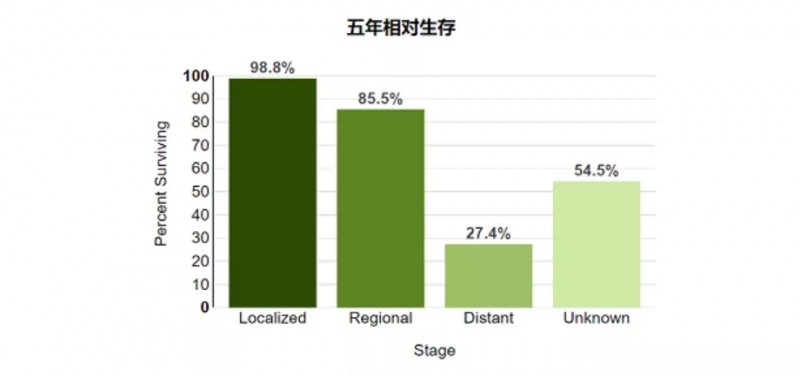 乳腺癌不同分型的5年生存率