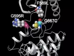 新一代肺癌新药TPX-0005,直逼拉罗替尼让位