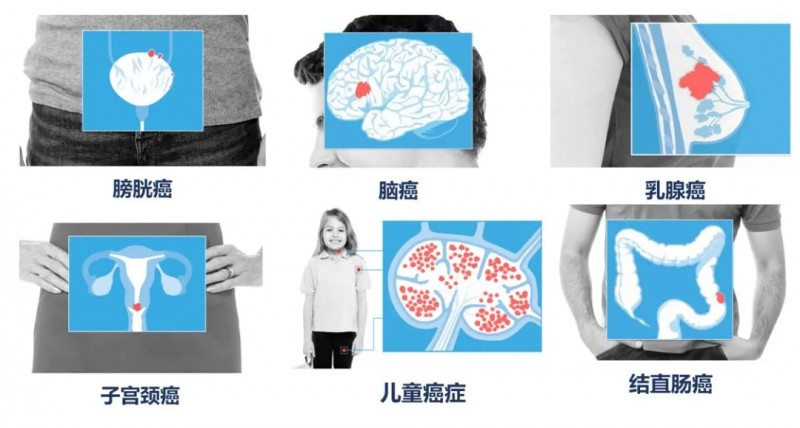 细胞免疫疗法适应症