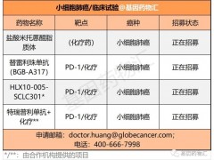 小细胞肺癌化疗、小细胞肺癌靶向治疗、小细胞肺癌免疫治疗三点开花,精准治疗点燃希望的火种