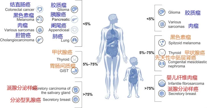 NTRK在各类癌症中的突变频率