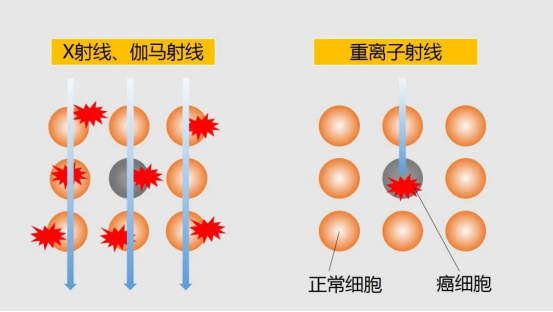 X射线、伽马射线和重离子射线对比