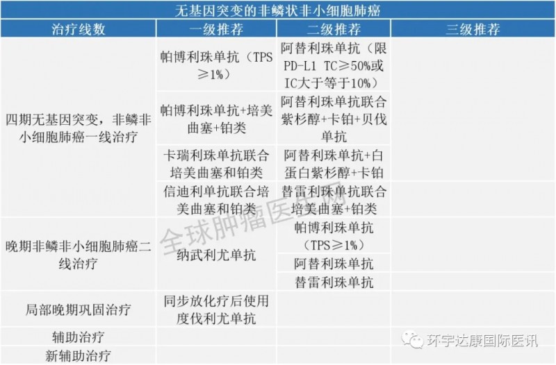 无基因突变的非鳞状非小细胞肺癌免疫治疗指南