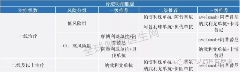 肾透明细胞癌免疫治疗指南