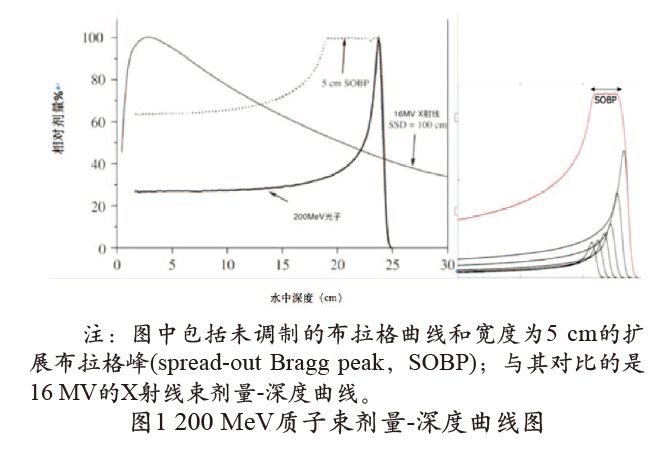 质子重离子治疗放射剂量