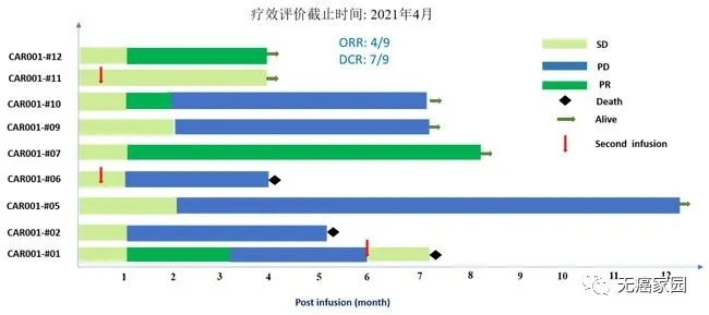 疾病控制率78%！晚期肝癌患者的福音！中国人专属CAR-T疗法闪耀全球