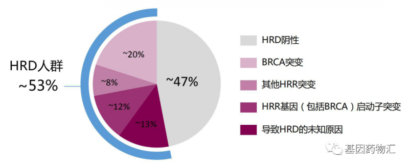 HRD发生率