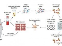 肺癌治疗成功案例:TILs细胞免疫疗法给肺癌患者带来新希望