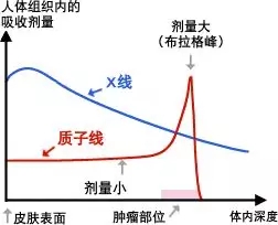 质子射线和X射线对比