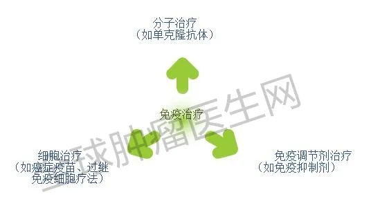 国内首个CAR-T疗法获批,为何它成抗癌新贵?