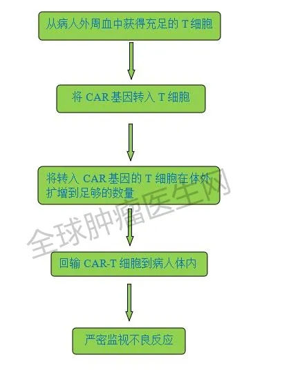 CAR-T细胞免疫疗法治疗流程