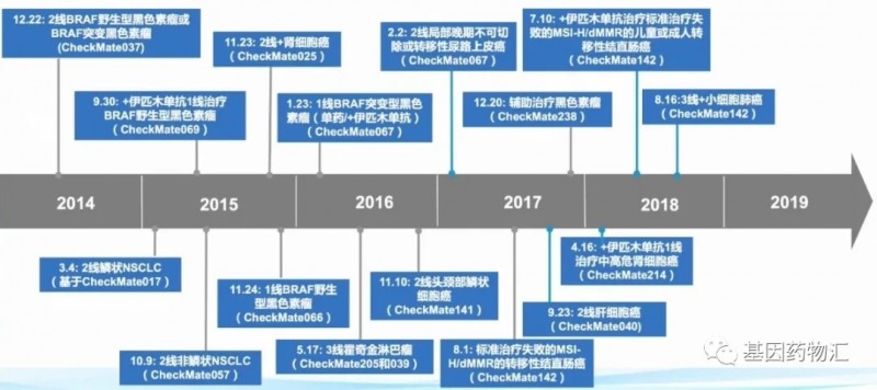 纳武单抗获批历程