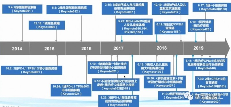 派姆单抗获批历程