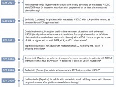非小细胞肺癌七大靶点,KRAS G12C、EGFR外显子20插入突变(ex20ins)、EGFR敏感突变、ALK、RET、MET外显子14跳跃突变(MET ex14)及免疫治疗(PD-1/PD-L1)
