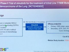 肺癌T790M突变靶向药Olmutinib(中文名奥莫替尼、HM61713)的二期临床试验结果