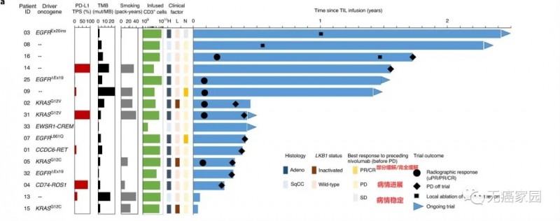 TIL细胞疗法治疗数据