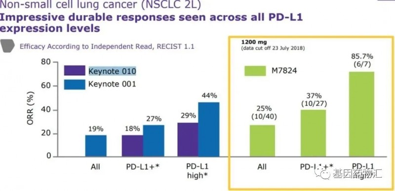 M7824治疗非小细胞肺癌数据