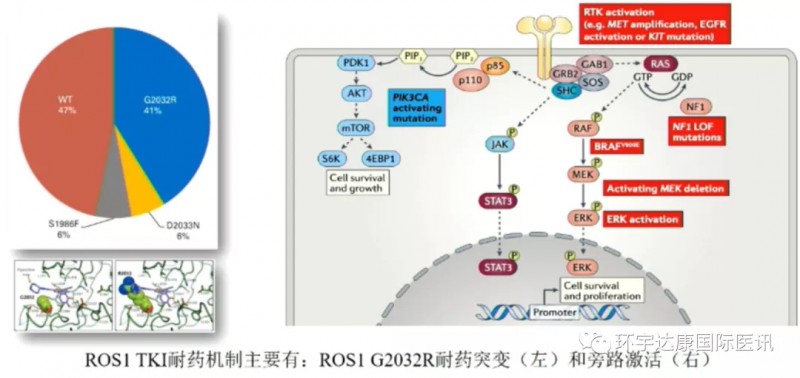 ROS1 TKI主要耐药机制