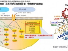 克唑替尼耐药后怎么办,12款ROS1和ALK突变新药打破僵局,为克唑替尼耐药患者保驾护航