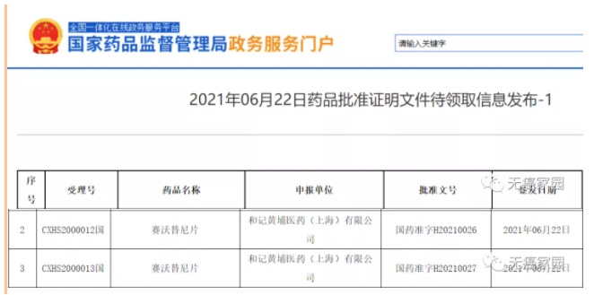 赛沃替尼审批信息