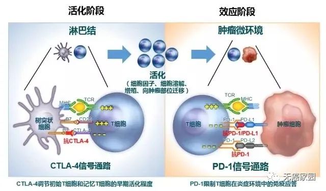 微信图片_20211209114525