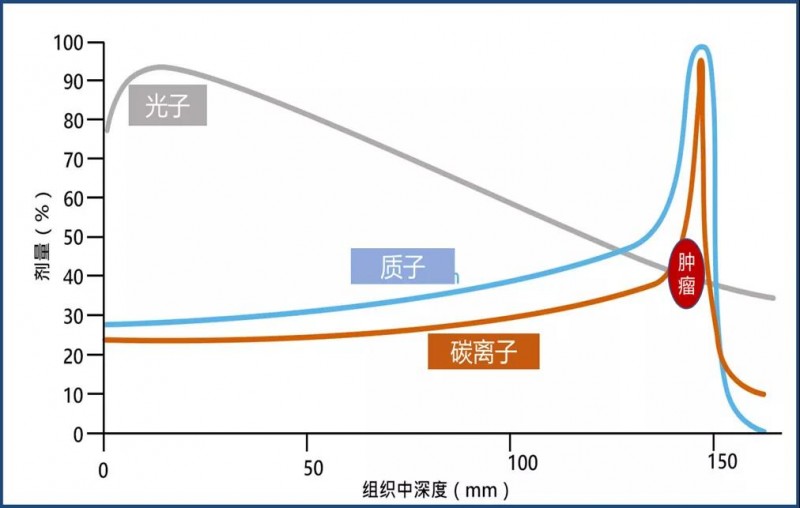 质子线、重离子线和光子线对比