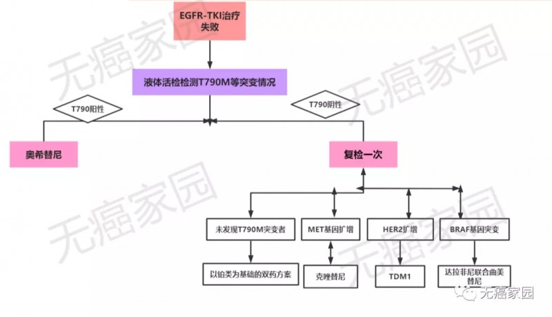 EGFR基因突变