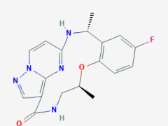 新一代靶向药,不限癌种的抗癌药,广谱抗癌药物TPX-0005(Repotrectinib、瑞波替尼)在中国获得非小细胞肺癌突破性治疗认定